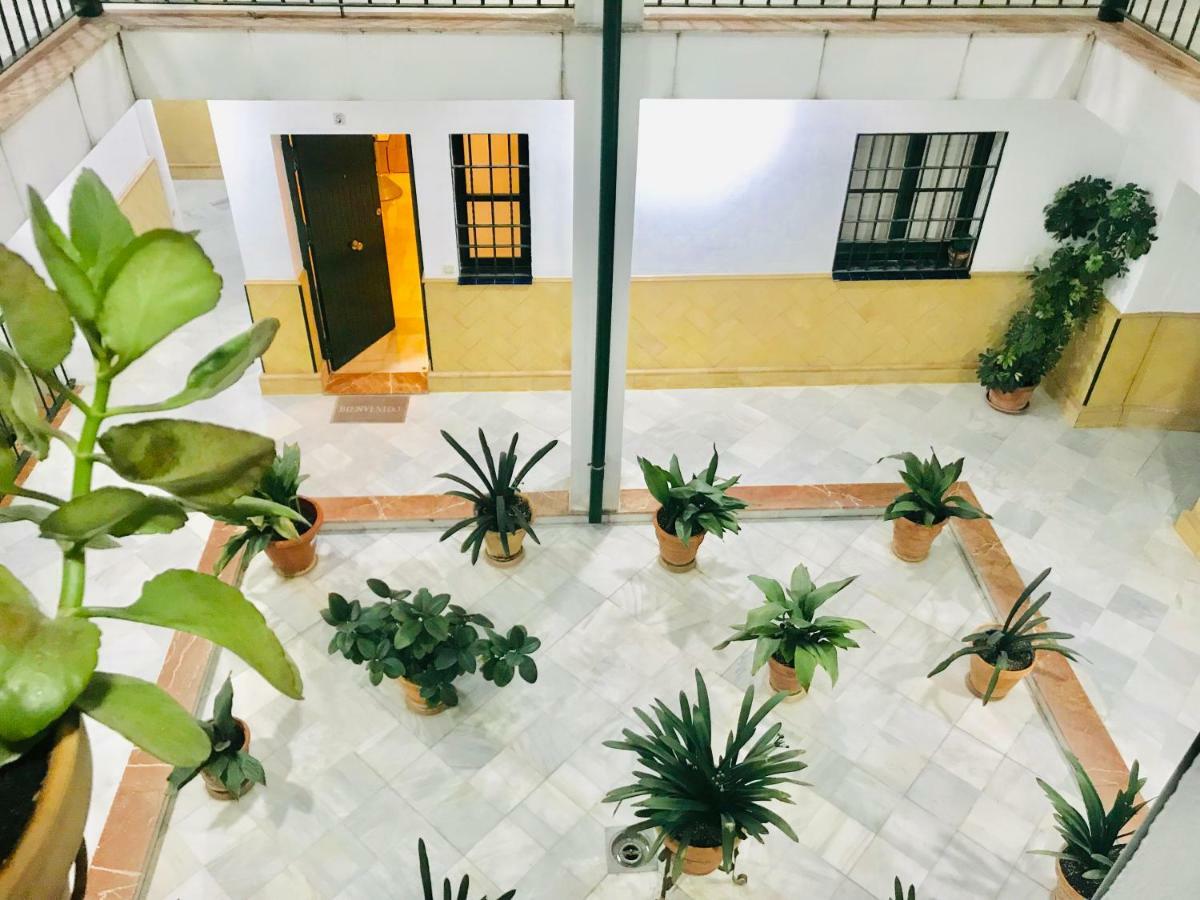 Los Patios De La Juderia Seville Exterior photo